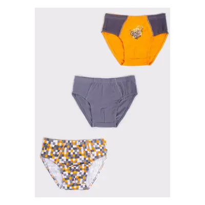 Yoclub Kids's 3Pack Boys' Briefs BMC-0033C-AA30-002