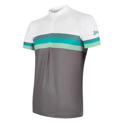 Pánský dres Sensor Cyklo Summer Stripe Grey/Green