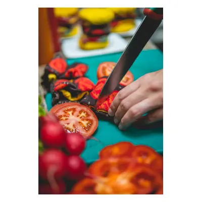 ZOOKSY/RAINBOW SOCKS Ponožky Rainbow Socks Burger páry