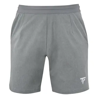 Pánské šortky Tecnifibre Club Short Silver