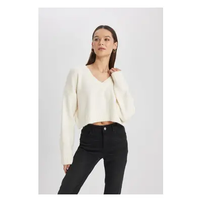 DEFACTO Regular Fit V-Neck Sweater