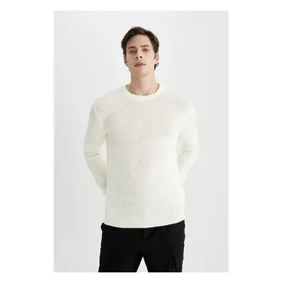 DEFACTO Standard Fit Regular Cut Crew Neck Knitted Sweater