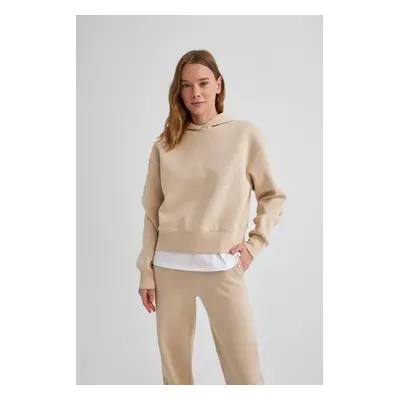 DEFACTO Boxy Fit Hooded Thick Basic Plain Sweatshirt