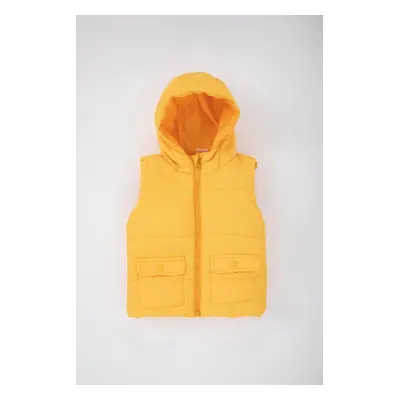 DEFACTO Baby Boy Hooded Puffer Vest