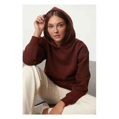 Trendyol Brown Hooded Regular/Normal Pattern Knitted Sweatshirt