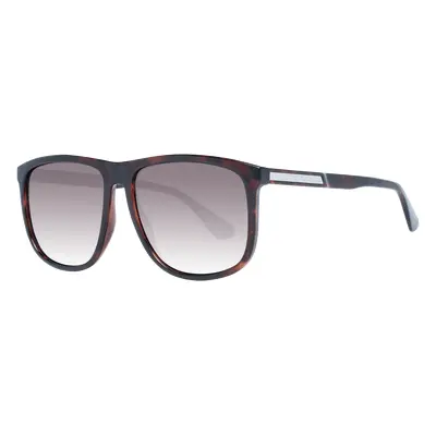 Tommy Hilfiger Sunglasses