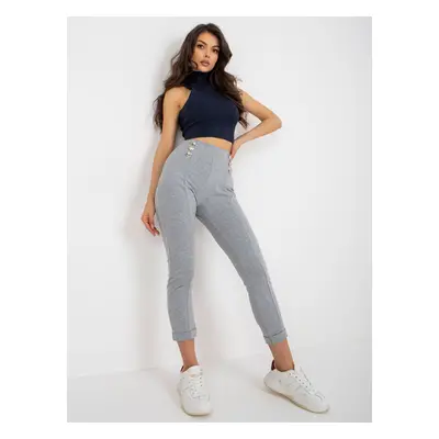 Sweatpants-RV-DR-7731.19-gray