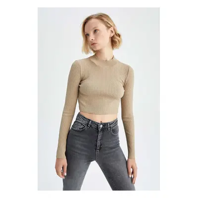 DEFACTO Fitted Half Turtleneck Sweater