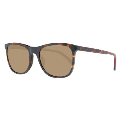 Gant Sunglasses