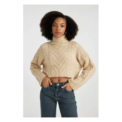 DEFACTO Regular Fit Half Turtleneck Knitwear Sweater