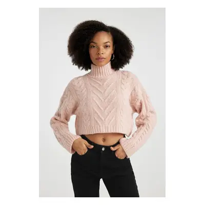 DEFACTO Regular Fit Half Turtleneck Knitwear Sweater