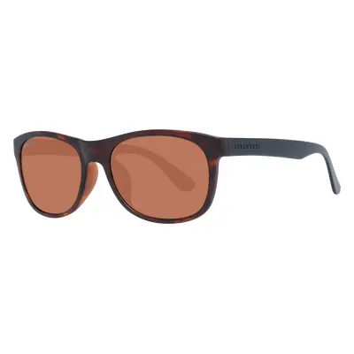 Serengeti Sunglasses Anteo