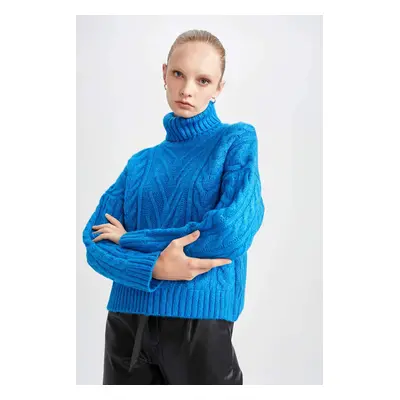 DEFACTO Regular Fit Turtleneck Pullover