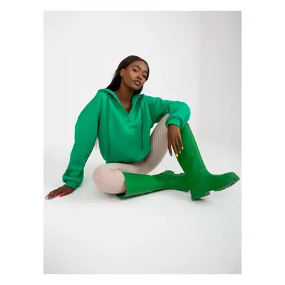 Sweatshirt-RV-BL-7998.71P-green