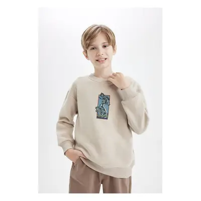 DEFACTO Boy Oversize Wide Pattern Crew Neck Printed Sweatshirt