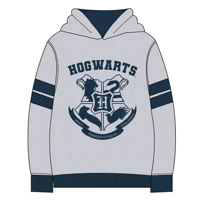 HOODIE COTTON BRUSHED HARRY POTTER