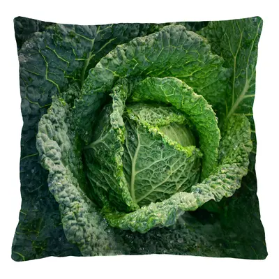 Bertoni Home Unisex's Square Pillow Cabbage