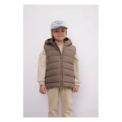 DEFACTO Baby Boy Water Repellent Water Repellent Buttoned Puffer Vest A2221A524Au