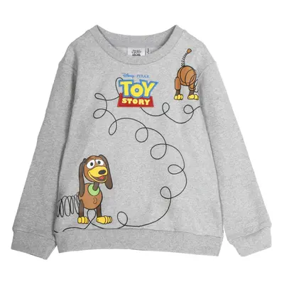 SWEATSHIRT COTTON BRUSHED TOY STORY