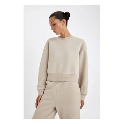 DEFACTO Boxy Fit Crew Neck Thick Basic Plain Sweatshirt