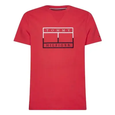 Tommy Hilfiger T-shirt - OUTLINE LINEAR FLAG TEE red