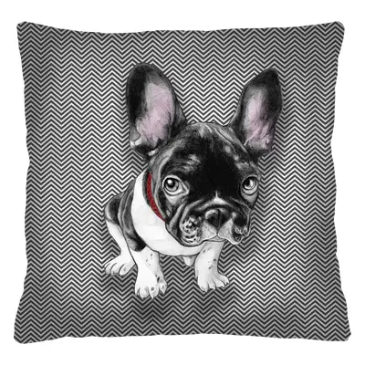 Bertoni Home Unisex's Square Pillow Chester