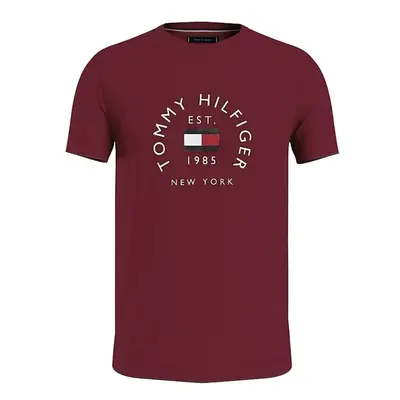 Tommy Hilfiger T-shirt - HILFIGER FLAG ARCH TEE red