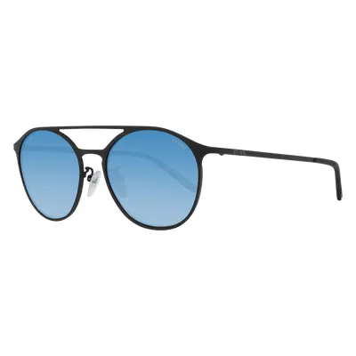 Sting Sunglasses