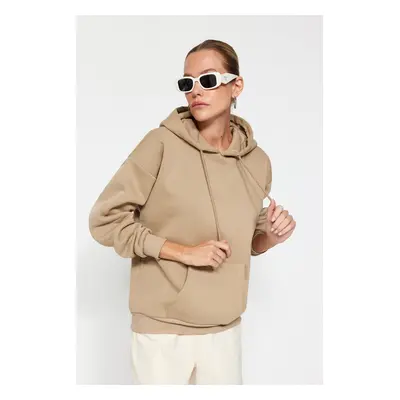 Trendyol Thick Mink, Fleece Inside Oversize/Wide Fit with a Hooded Basic Knitted Sweatshirt