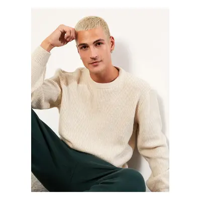 LC Waikiki Crew Neck Long Sleeve Men's Knitwear Sweater