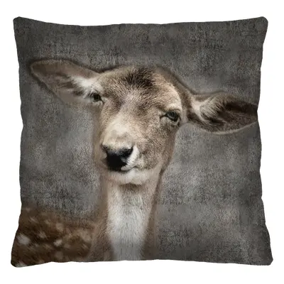 Bertoni Home Unisex's Square Pillow Lucky