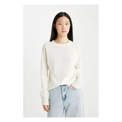 DEFACTO Regular Fit Soft Textured Crew Neck Basic Plain Knitwear Sweater