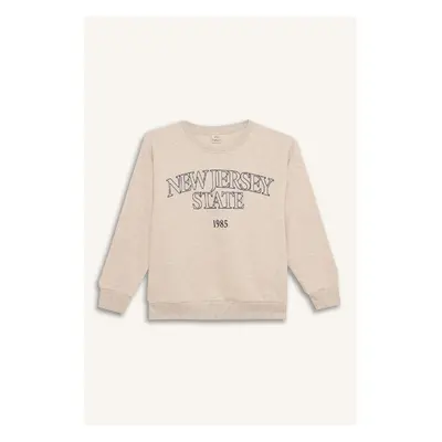 DEFACTO Boy's Crew Neck Printed Sweatshirt