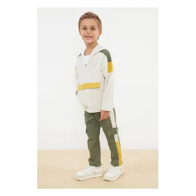 Trendyol Beige Boy Seasonal-Thin Color Block Cotton Knitted Bottom-Top Set