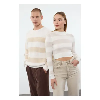 Trendyol Stone Casual Oversize Couple/Double Crew Neck Striped Knitwear Sweater