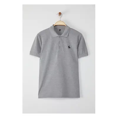 Trendyol Grey Regular/Normal Cut Embroidery Detail Polo Neck T-shirt