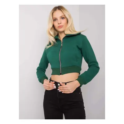 Sweatshirt-RV-BL-7305.79-dark green