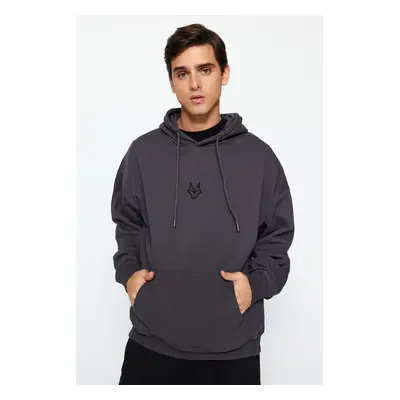 Trendyol Anthracite Regular/Normal Cut Hooded Fleece/Warm Sweatshirt