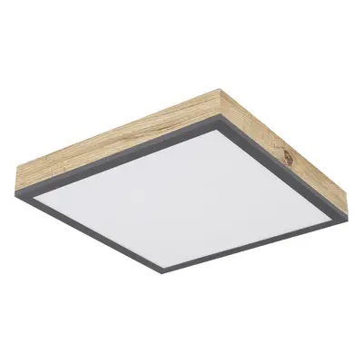 Globo LED PANEL, 30/30 cm