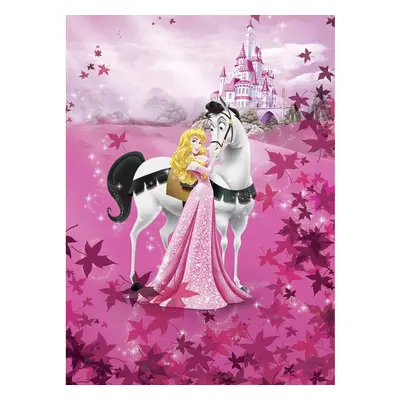 Disney FOTOTAPETA velikost: 184/254 cm