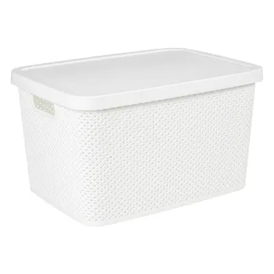 Homeware ÚLOŽNÝ BOX, plast