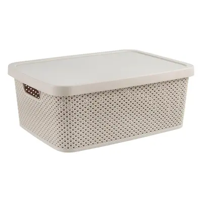 Homeware ÚLOŽNÝ BOX, plast