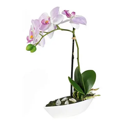 XXXL ORCHIDEJ orchidej 28 cm