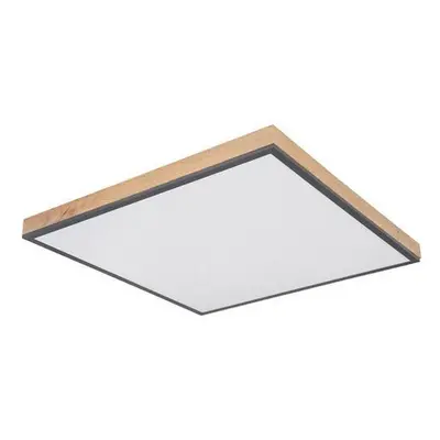 Globo LED PANEL, 59/59/6,5 cm