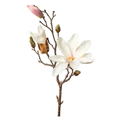 XXXL MAGNOLIE 48 cm