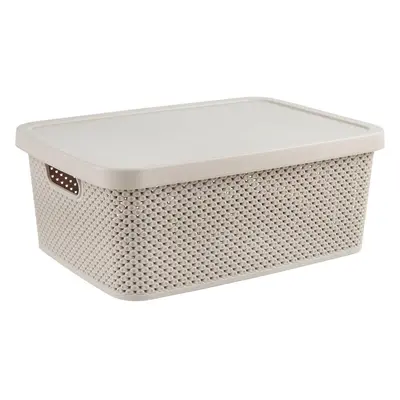 Homeware ÚLOŽNÝ BOX, plast