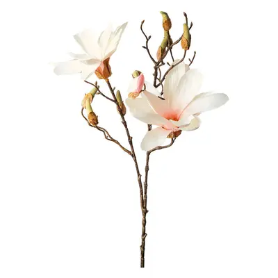 XXXL MAGNOLIE 85 cm