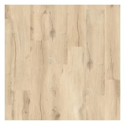 Creation 55 Solid Clic Cedar Pure 0849