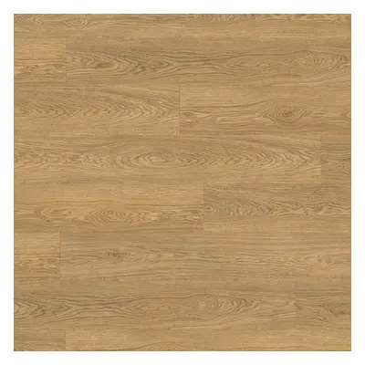 Creation 55 Solid Clic Lounge Oak Golden 1271