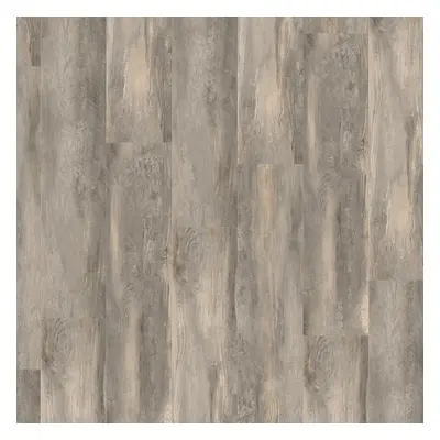 Creation 55 Solid Clic Paint Wood Taupe 0856